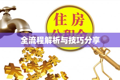 永川全流程解析与技巧分享